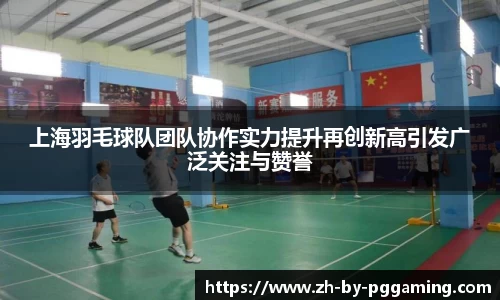 上海羽毛球队团队协作实力提升再创新高引发广泛关注与赞誉